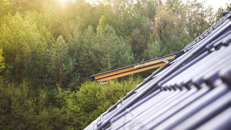 Bild fehlt Dachfenster auf einem Gebäude mit photovoltaischen Modulen, im Hintergrund ein Wald in sanftem Licht.
